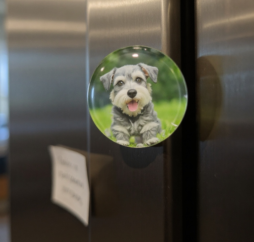 Custom Glass Dome Photo Magnets - Set of 5