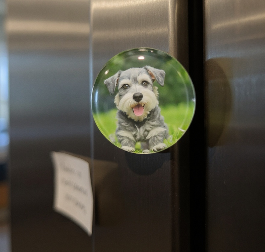 Custom Glass Dome Photo Magnets - Set of 5